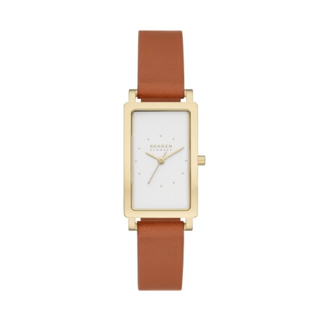 Reloj Skagen Clásico Cuero Marrón 0