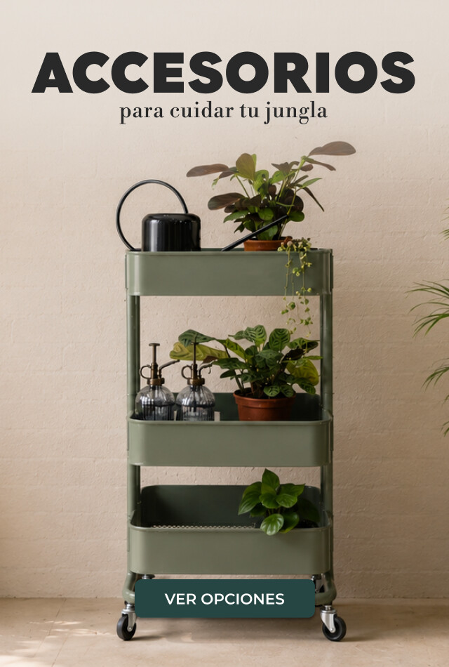 ACCESORIOS