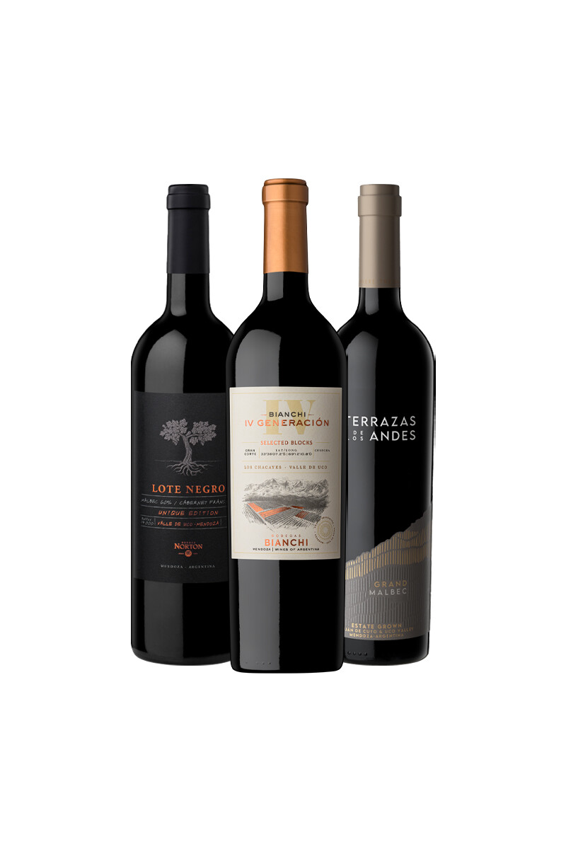 Pack Bacán Selección Bacanazo Fin de Año x3 vinos iconos 
