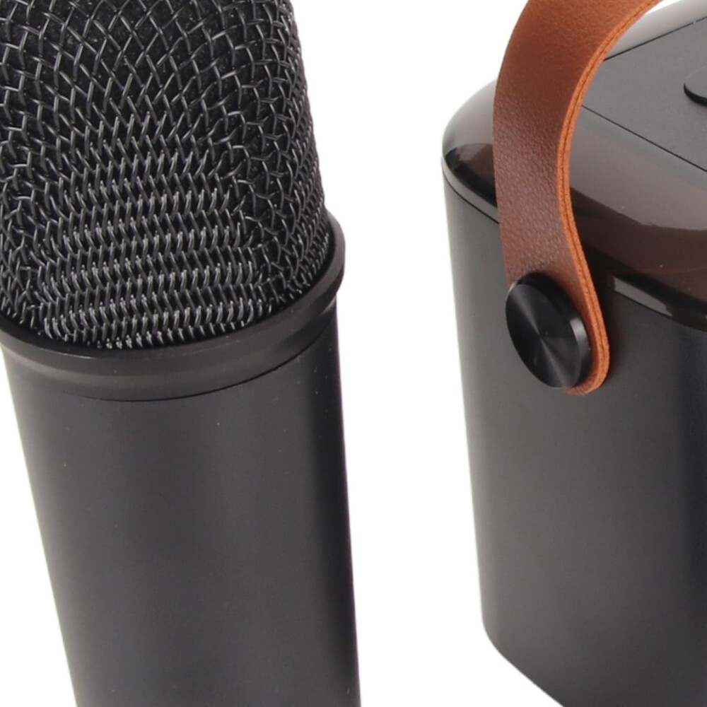 Mini Parlante Inalambrico Con 2 Microfonos Negro