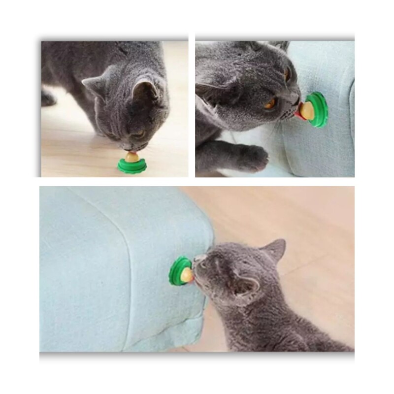 GOLOSINA PARA GATO CATNIP HIERBA GATERA GOLOSINA PARA GATO CATNIP HIERBA GATERA