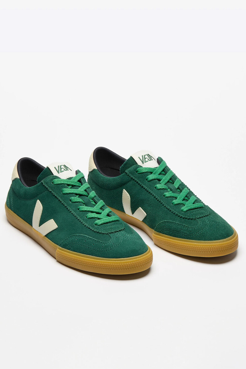 ZAPATILLA VOLLEY Verde