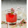Set vasos Strauss 275 ml CRISTAR Set vasos Strauss 275 ml CRISTAR