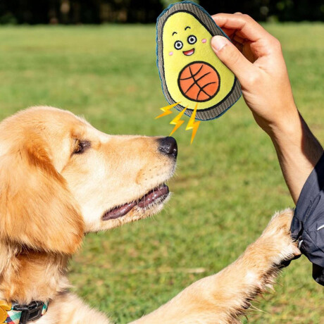 Juguete Para Mascotas Palta Deportiva Con Sonido Resistente Verde