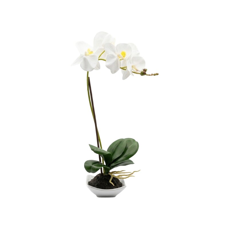 ORQUIDEA BCO C/MACETERO 10.5X10.5X38CM Unica