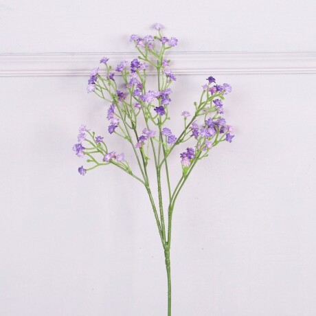 Ilusión Violeta