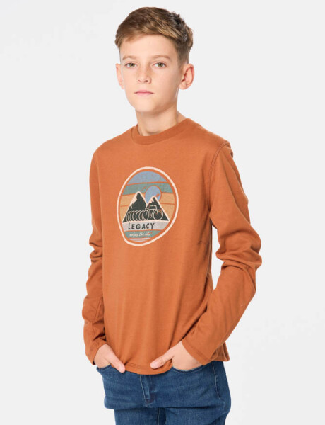 REMERA ESTAMPADA Terracota