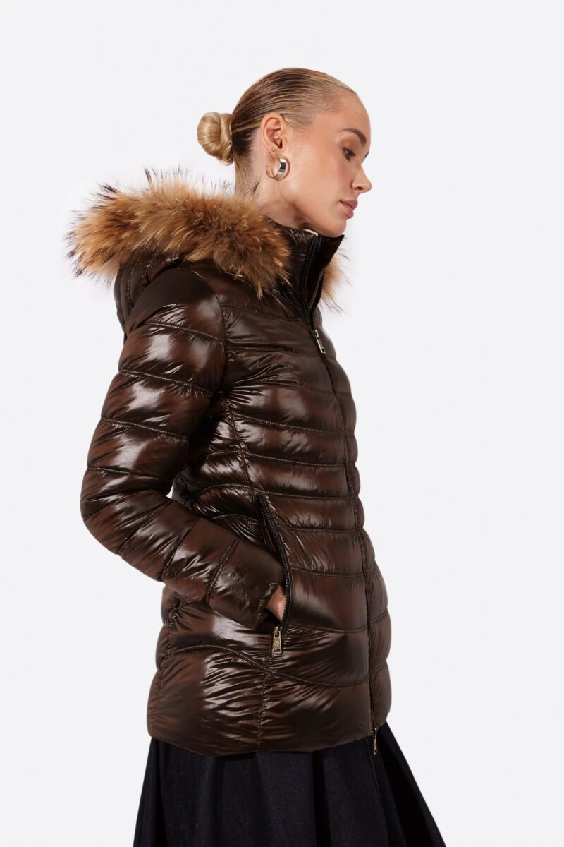 CAMPERA LION 
