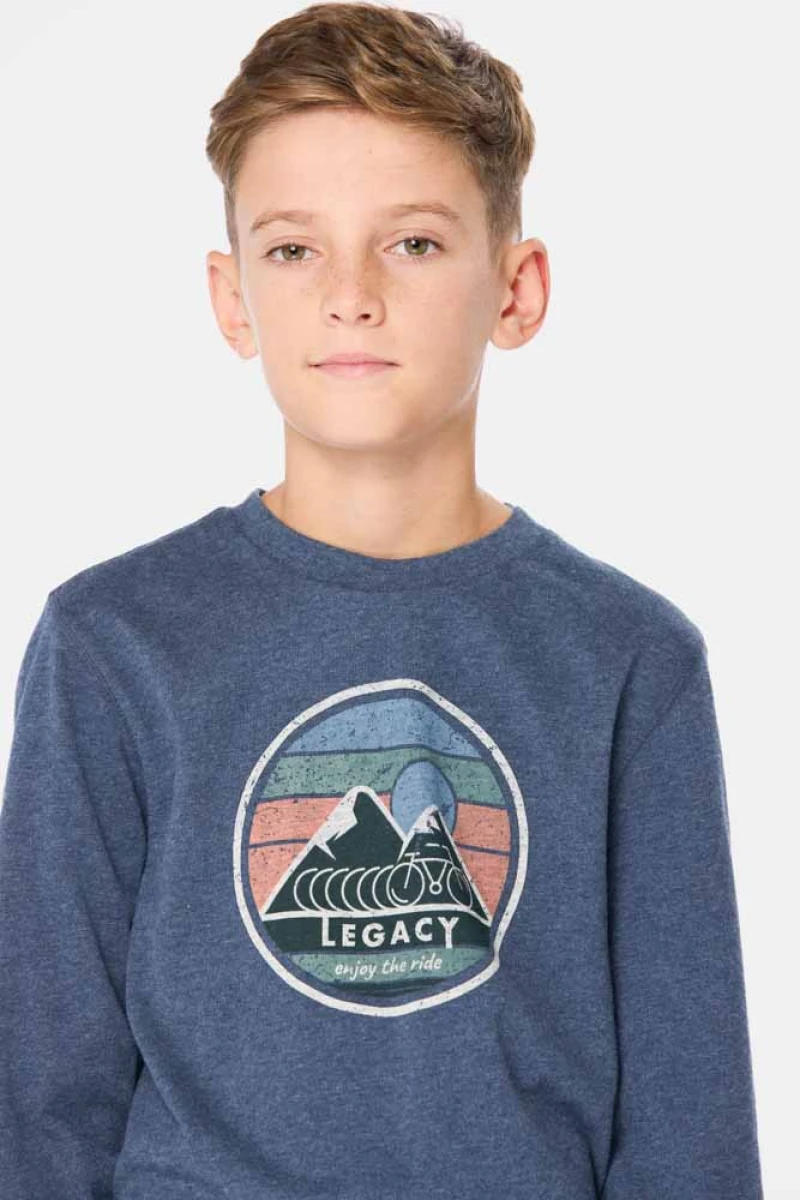REMERA ESTAMPADA - Azul 
