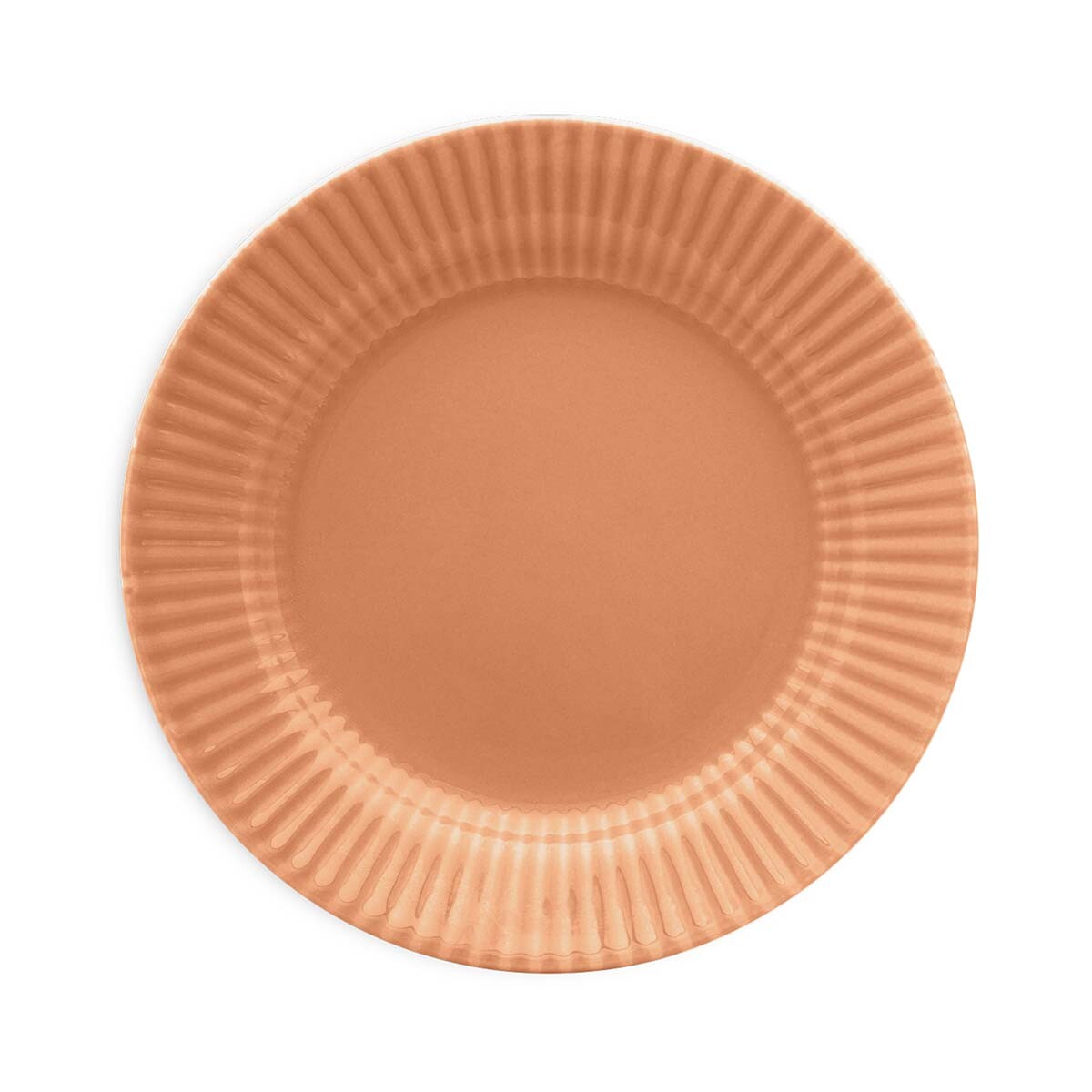 Plato llano Salmao 24 cm BIONA 