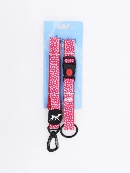 SET COLLAR CON CORREA MULTICOLOR