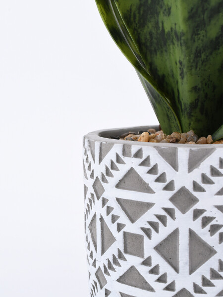 PLANTA TROPIC BLANCO