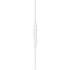 APPLE AURICULARES EARPODS LIGHTNING - WHITE APPLE AURICULARES EARPODS LIGHTNING - WHITE