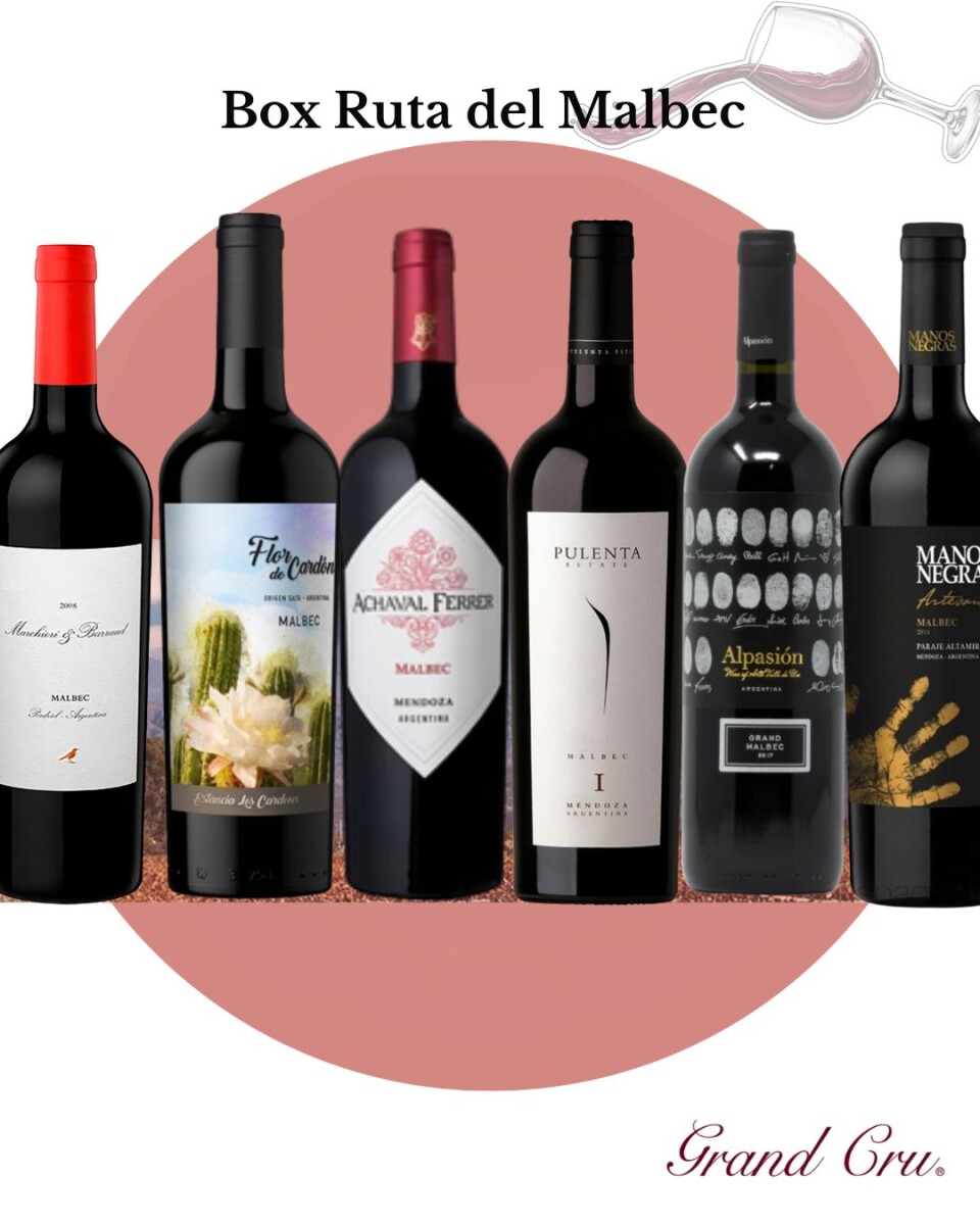 Box Esencia del Malbec 