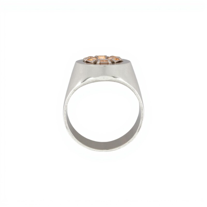 Anillo Profesión Paramédico - Plata y Oro-Sin Piedra-AP5045 ap5043