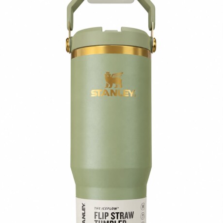 Botella FLIP STRAW TUMBLER Verde combinado con Dorado