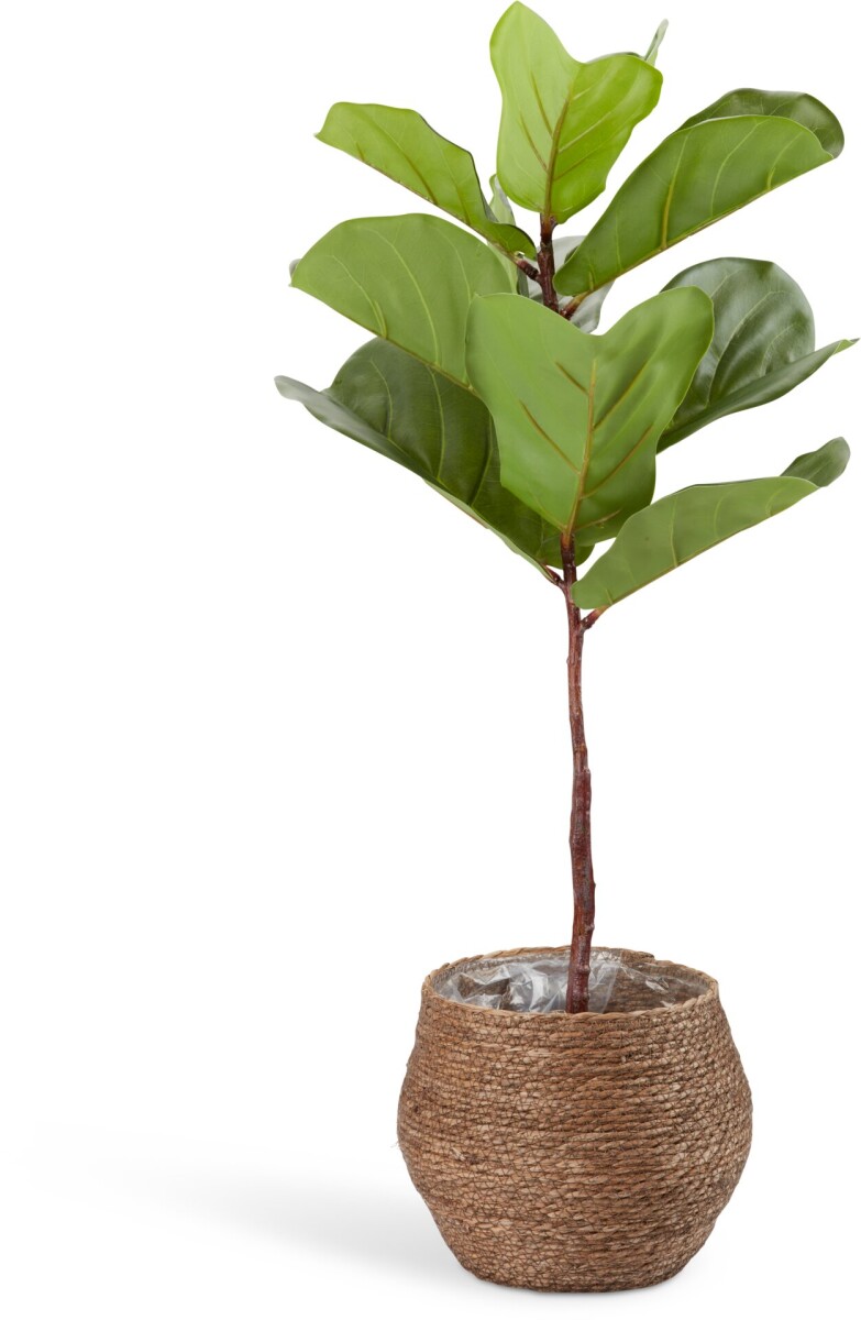Maceta SIVERT Ø26xA23cm marrón - Marrón 