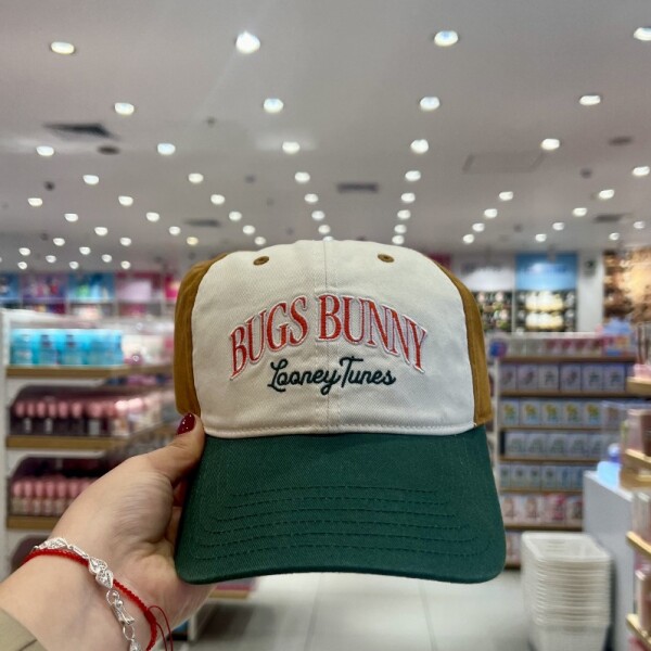 Gorro Looney Tunes multicolor