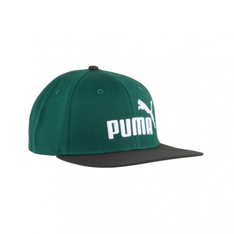 GORRA PUMA ESS N1 LOGO FLAT BRIM Green
