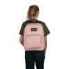 Mochila Portalaptop Superbreak Plus Misty Rose