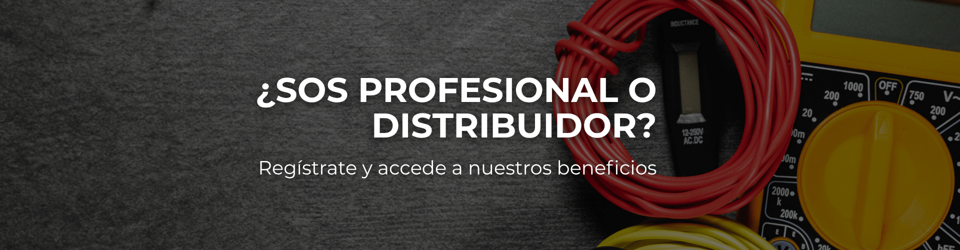 Home Slider Profesionales