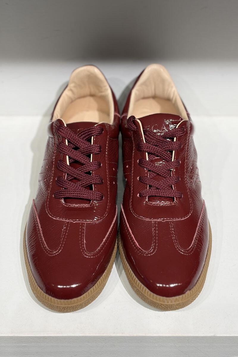 Champion mia Bordeaux