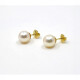 9.5 Mm Caravanas De Oro 18K Y Perlas De Cultivo 9.5 Mm Caravanas De Oro 18K Y Perlas De Cultivo