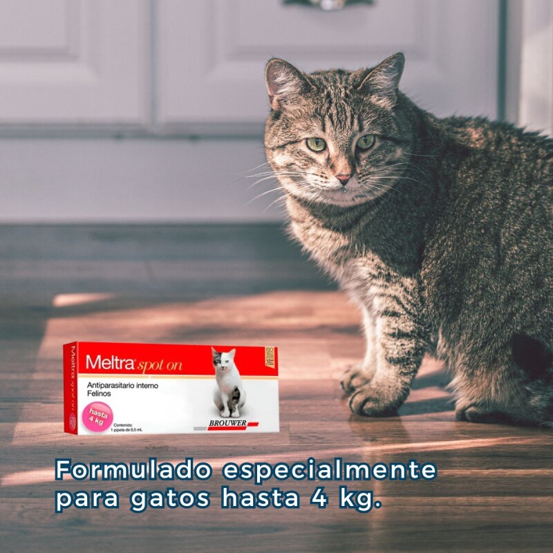 MELTRA SOPOT ON ANTIPARASITARIO INTERNO EN FORMA DE PIPETA PARA GATOS HASTA 4 KG MELTRA SOPOT ON ANTIPARASITARIO INTERNO EN FORMA DE PIPETA PARA GATOS HASTA 4 KG