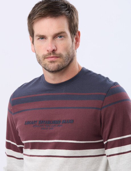 REMERA RAYADA BORDADA Azul