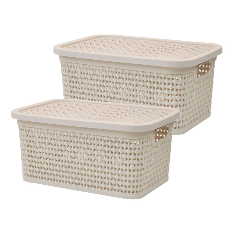 Set x2 Caja simil rattan 2,5lts. (23x15,5x11cm) rosado BEIGE