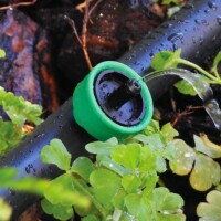 Gotero 4 lts/h autocompensado y antidrenante Gotero 4 lts/h autocompensado y antidrenante