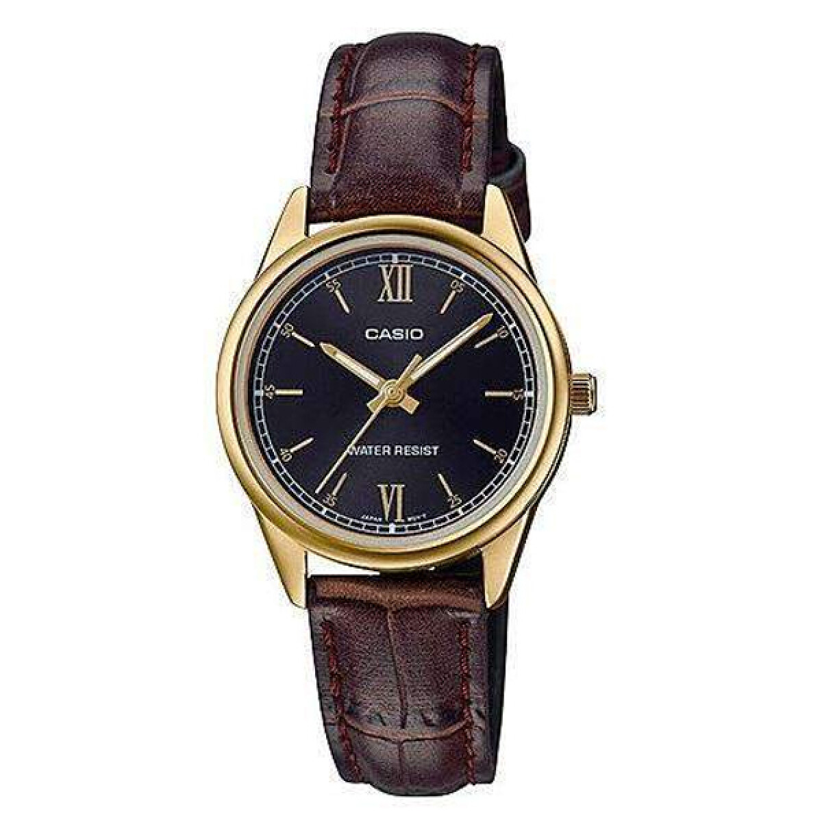 Reloj CASIO LTPV005GL-1B2UDF Cuero Marron Esfera 28mm 