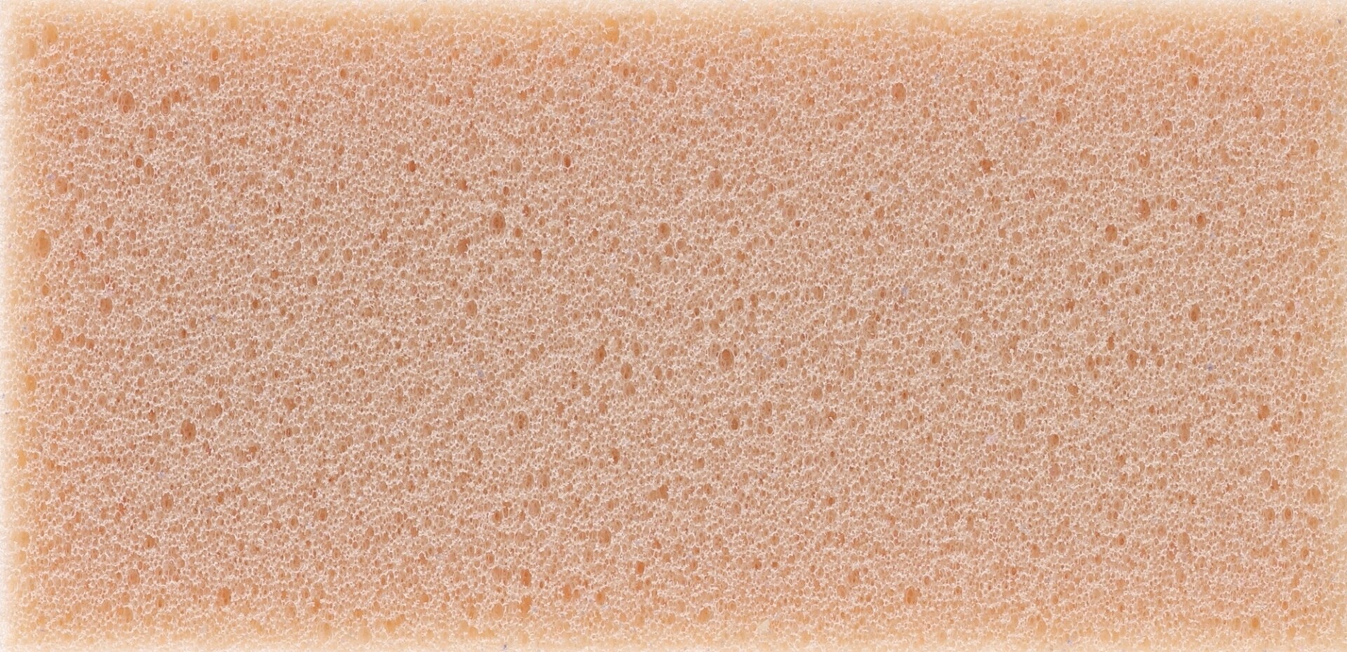 Titania Esponja de Piedra Pomez 