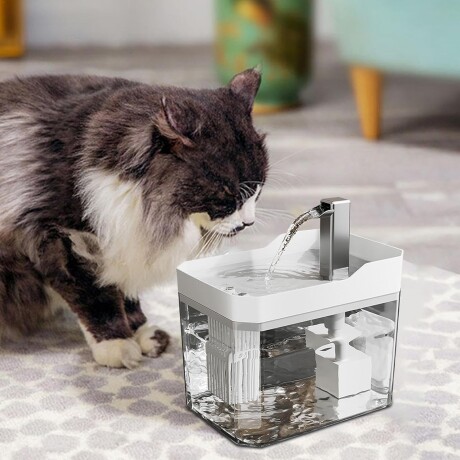 Fuente Con Dispensador de Agua y Filtro Para Mascotas Gris