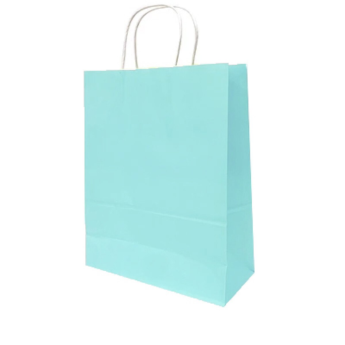 Bolsa con Asa Lisa N°2 Pack x12 - Celeste 