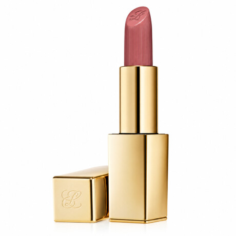 Labial Estée Lauder Pure Color Matte Lipstick N°28 Intense Nude 3.5g Labial Estée Lauder Pure Color Matte Lipstick N°28 Intense Nude 3.5g