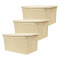 Set x3 Caja simil ratán 15 lts 39x26x19 cm BEIGE