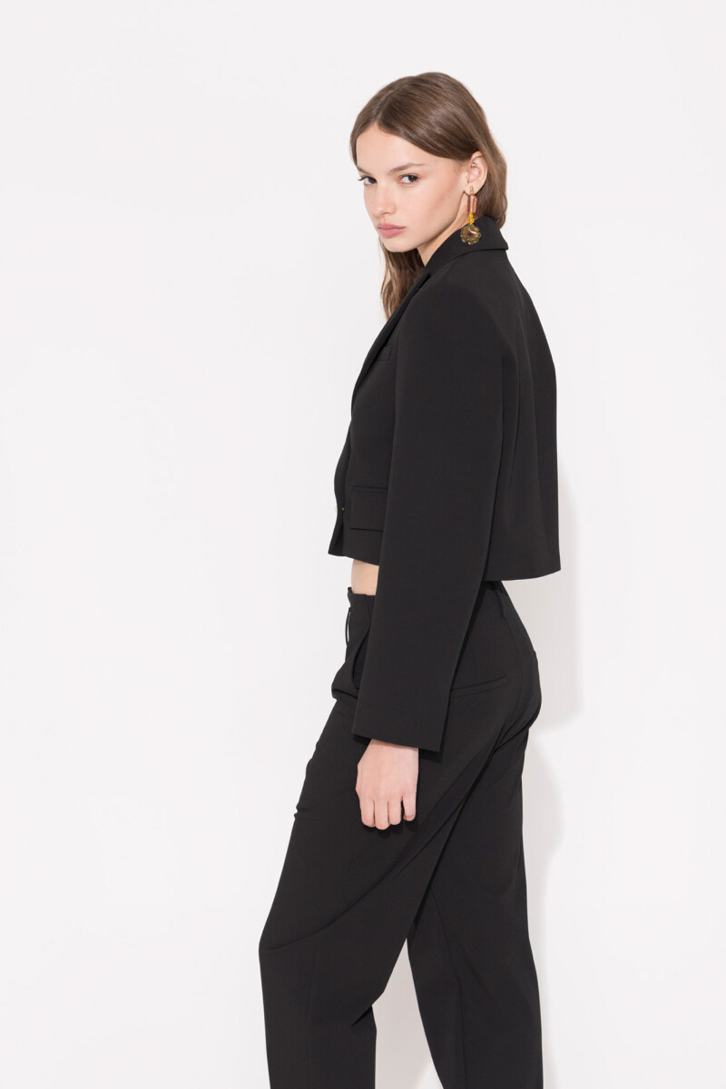 BLAZER WILLIAM Negro