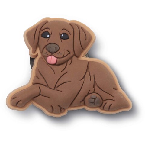 Jibbitz Brown Lab Puppy Multicolor