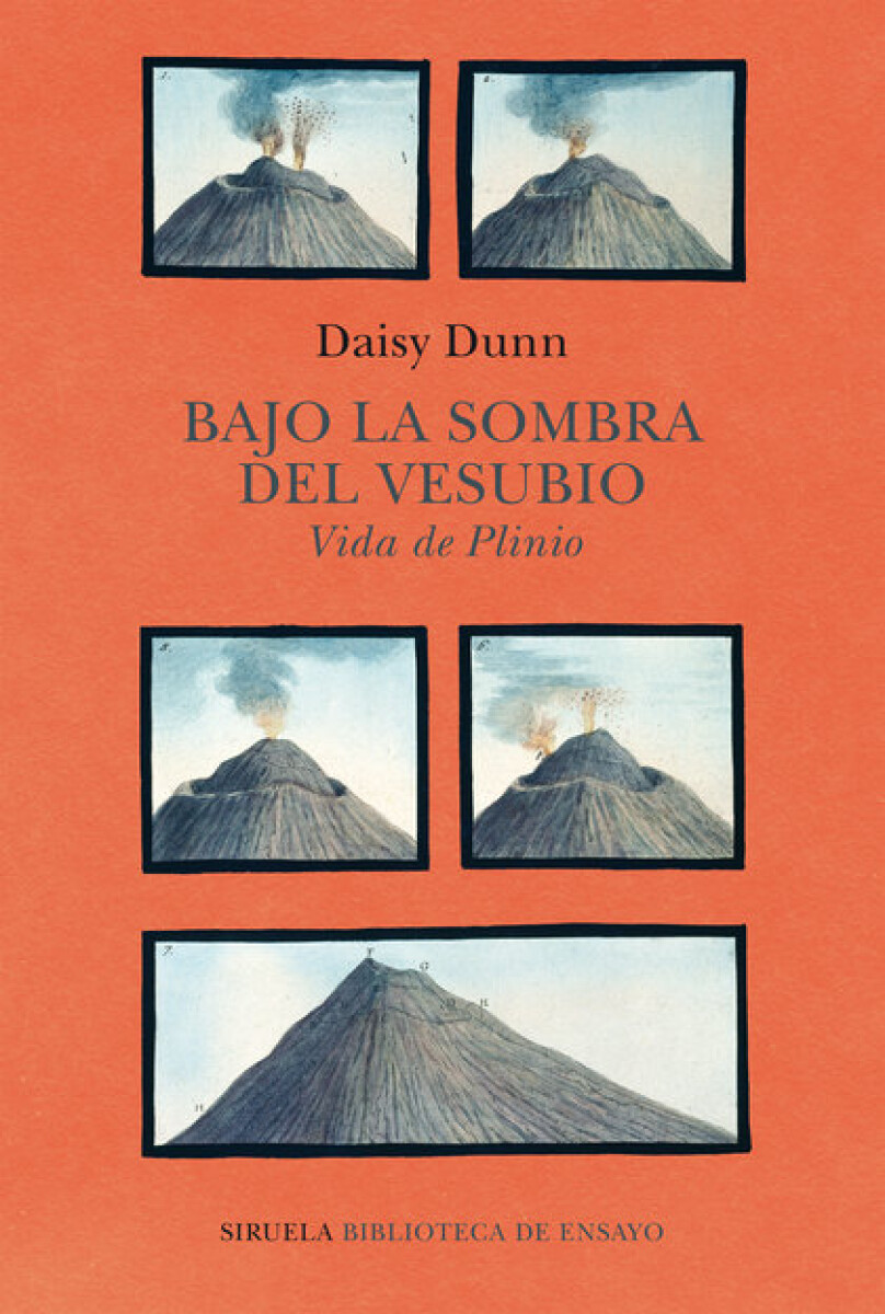 BAJO LA SOMBRA DEL VESUBIO 