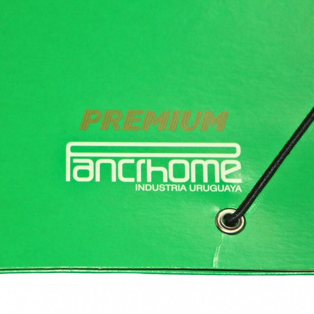 CARPETA CON ELASTICO PREMIUM 309 COLOR VERDE CARPETA CON ELASTICO PREMIUM 309 COLOR VERDE