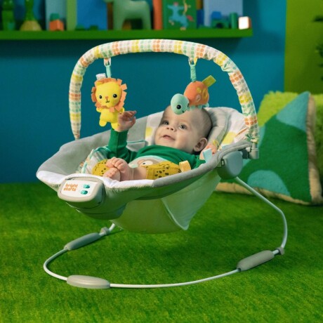 Silla Bouncer Bright Starts Deluxe Whimsical Wild 001