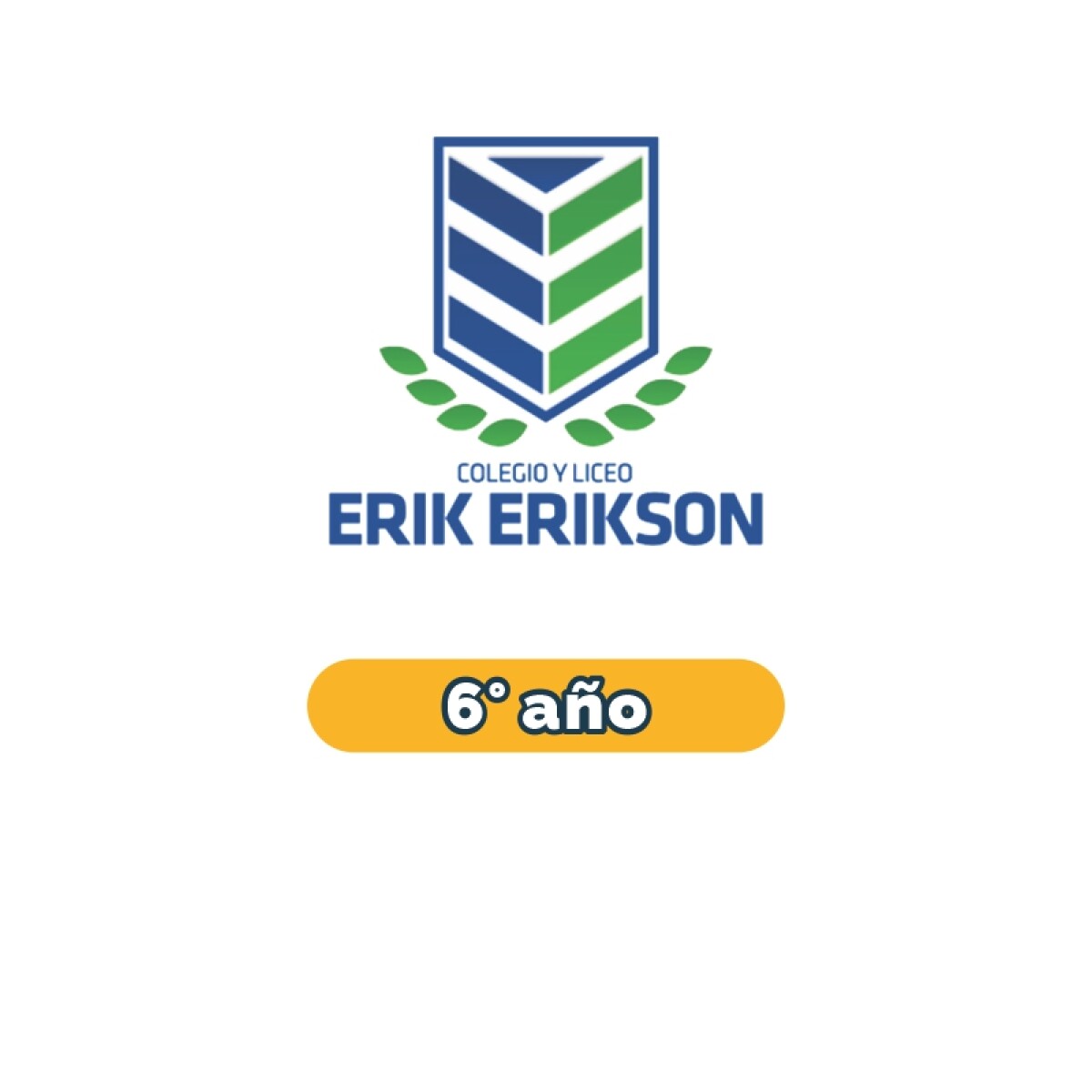 Lista de materiales - Primaria 6° año Erik Erikson 