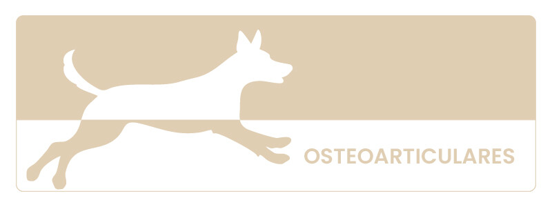 osteoarticulares