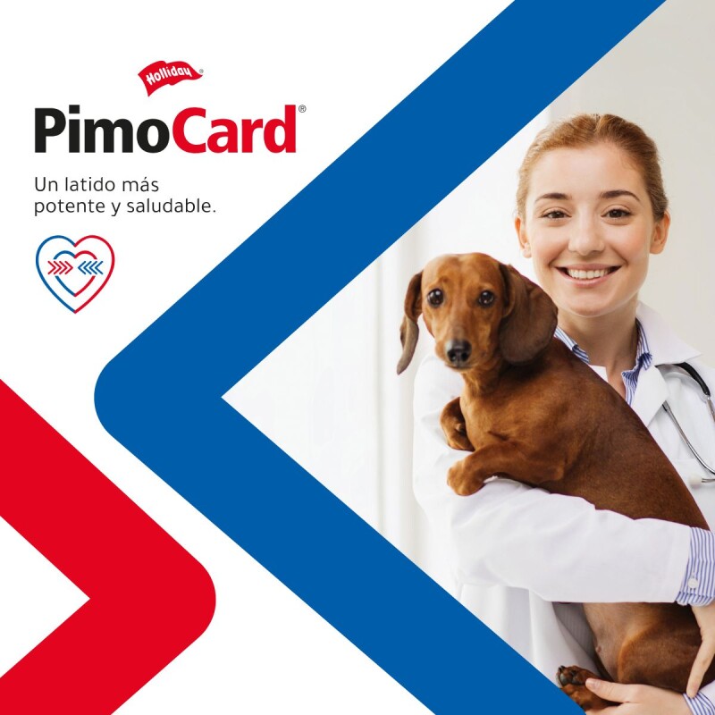 PIMOCARD 5 MGS 20 COMPRIMIDOS HOLLIDAY PIMOCARD 5 MGS 20 COMPRIMIDOS HOLLIDAY