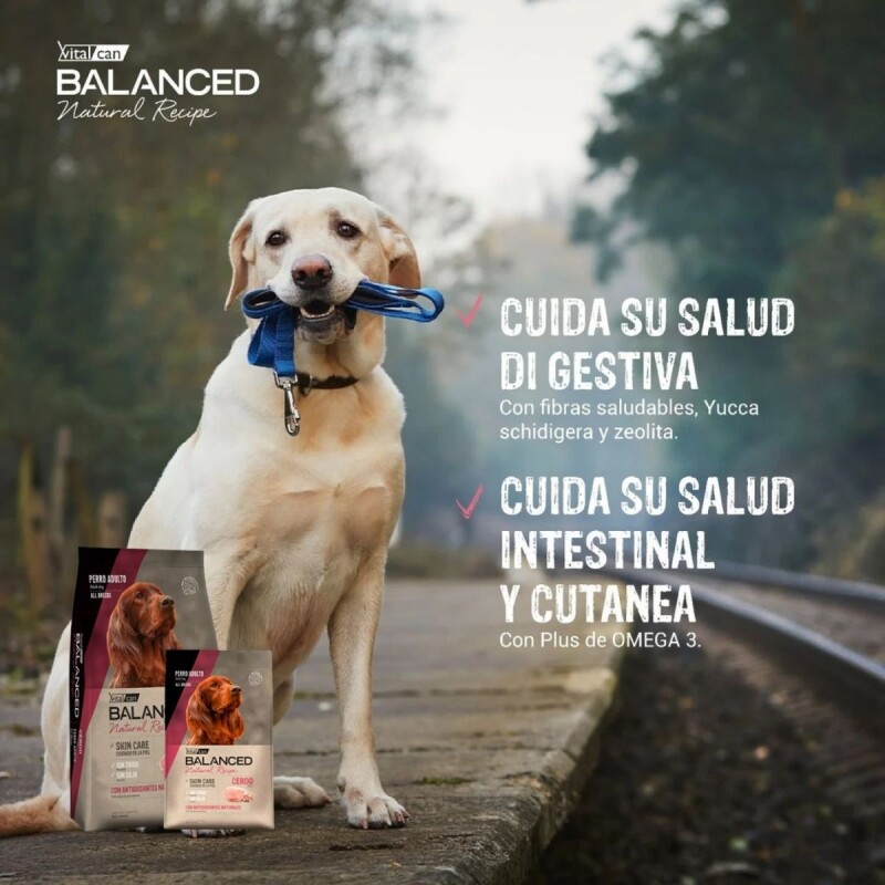 VITALCAN BALANCED EXCLUSIVE PERROS ADULTOS CERDO 3 KG
