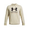 UA Rival Terry Graphic Hood-BLU BRN-273