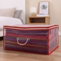 BOLSA GUARDA ROPA TRANSPARENTE 70X55X28CM BOLSA GUARDA ROPA TRANSPARENTE 70X55X28CM
