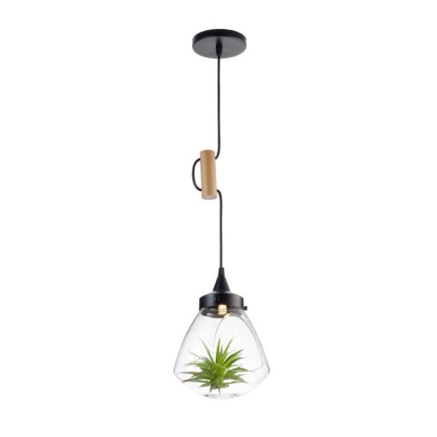 COLGANTE 1 LUZ ''TERRARIO'' E27 VIDRIO MADERA COLGANTE 1 LUZ ''TERRARIO'' E27 VIDRIO MADERA
