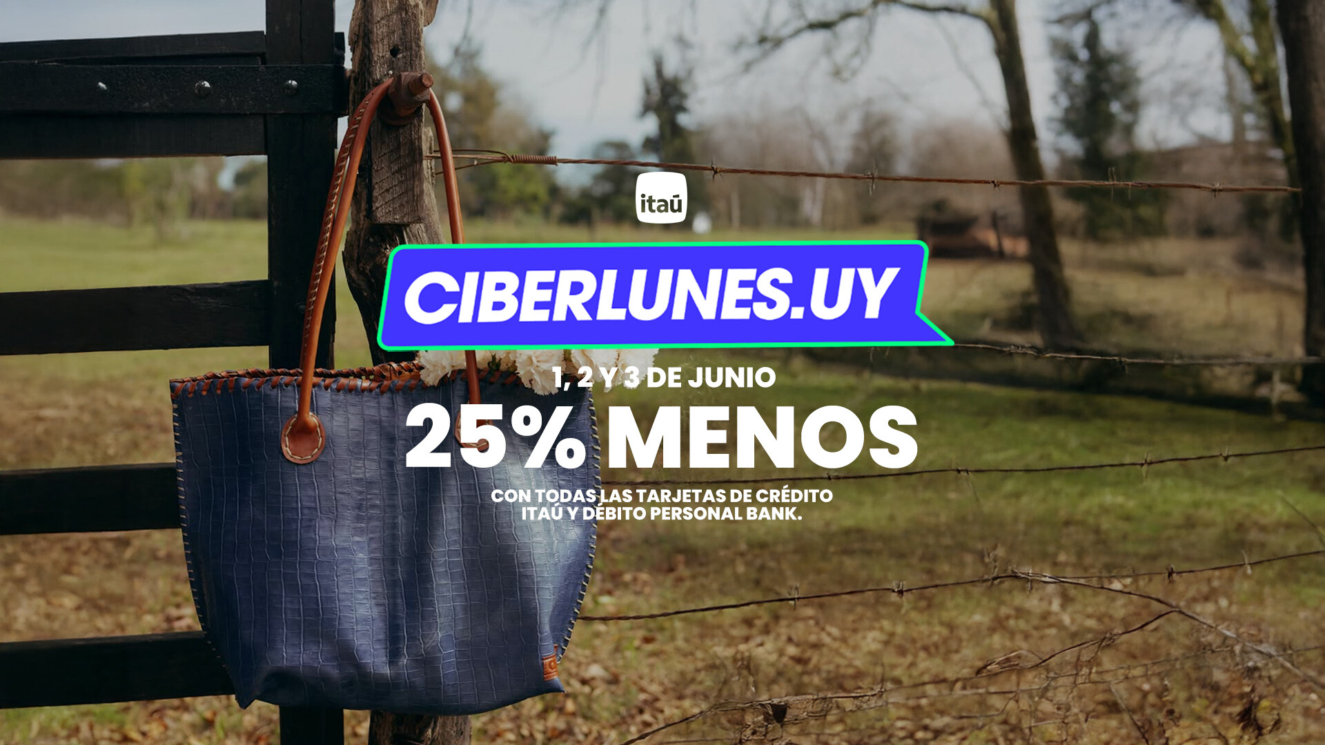 CIBERLUNES